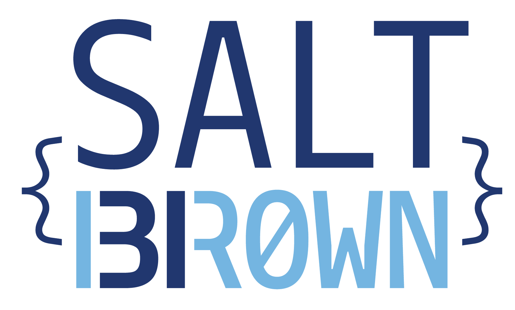 SALT31 logo